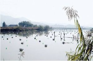 成都白塔湖天氣