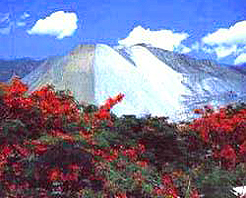 攀枝花蘭家火山天氣