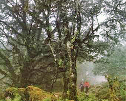 攀枝花白坡山天氣