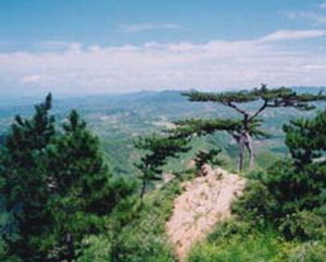 瀘州忠山天氣