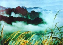 什邡鎣華山天氣
