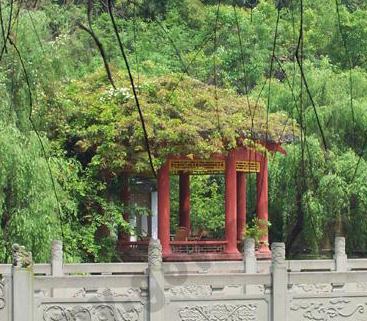 綿陽老龍山天氣