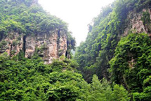 廣元鼓城山自然保護區天氣