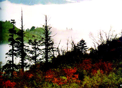 樂(lè)山大風(fēng)頂天氣