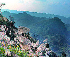 眉山龍鵠山天氣