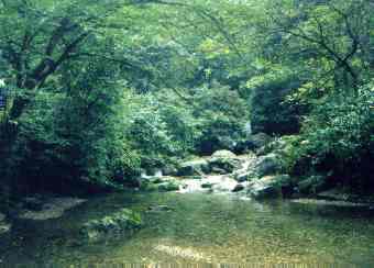 眉山黃金峽天氣