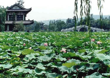 宜賓天池公園天氣