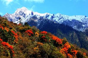 雅安東拉山大峽谷天氣