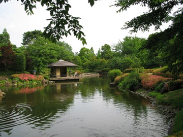 雅安張家山公園天氣