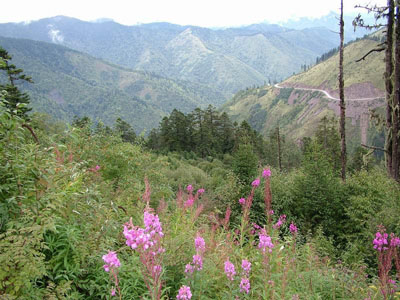 雅安杜鵑山天氣