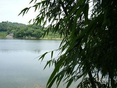 雅安百丈湖天氣