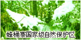 雅安蜂桶寨天氣