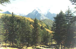 雅安夾金山天氣