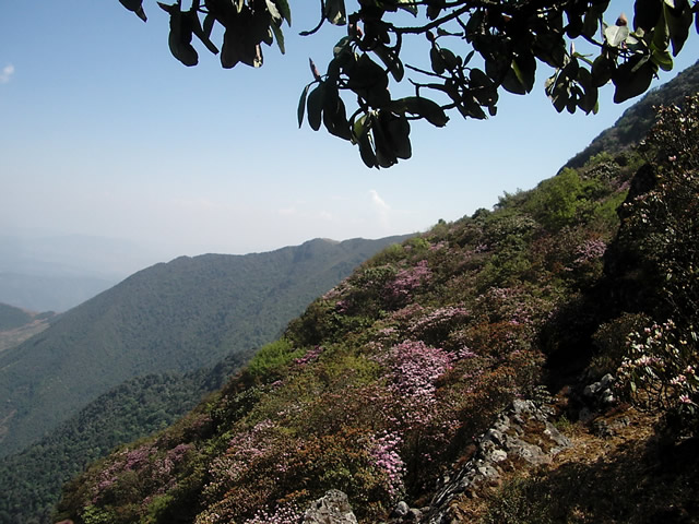 涼山龍肘山天氣