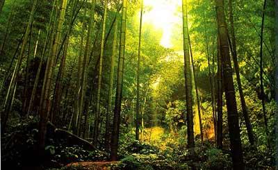 涼山黑竹溝天氣