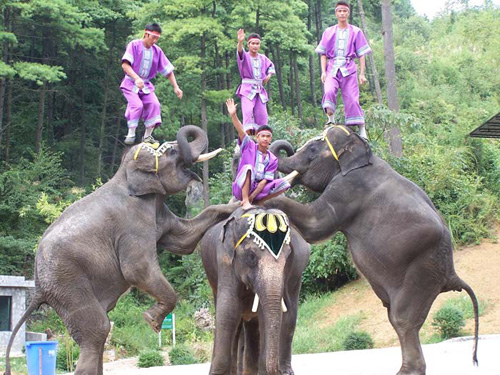貴陽森林野生動物園天氣
