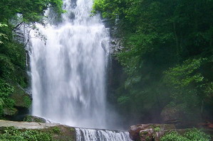赤水燕子巖國家森林公園天氣
