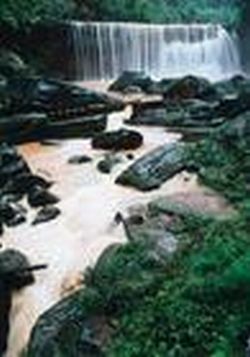 遵義赤水河天氣