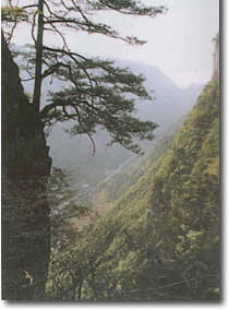 遵義婁山關天氣