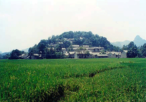 鎮(zhèn)寧黃果樹石頭寨天氣