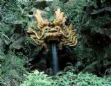 凱里飛龍洞天氣