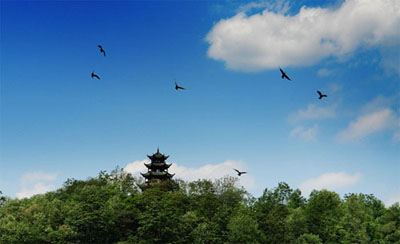 凱里大閣公園天氣