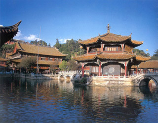 云南圓通動(dòng)物園天氣