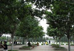 昆明寶海公園天氣