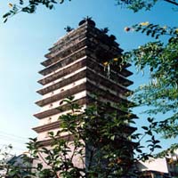云南東西寺塔天氣