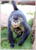 昆明動物園天氣