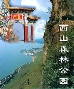 昆明西山森林公園天氣