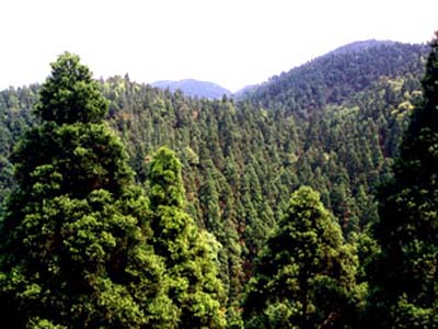 曲靖寥廓山天氣