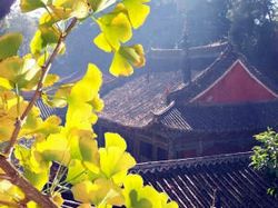 玉溪秀山歷史文化公園天氣