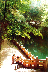 玉溪九龍池天氣