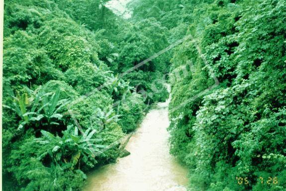 紅河個(gè)舊綠水河熱帶雨林旅游度假區(qū)天氣