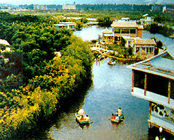 紅河瀘江公園天氣