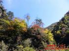 安康千家坪公園天氣