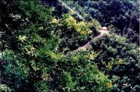 商洛老君山天氣