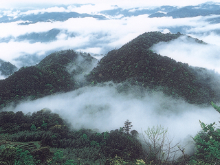 商洛戴云山天氣