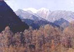 海西柏樹山天氣