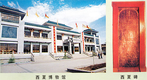 西夏博物館天氣