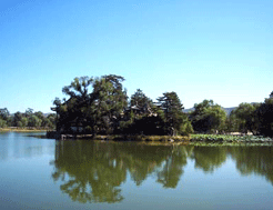 惠農(nóng)避暑山莊羅家園天氣
