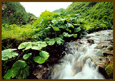涇源野荷谷天氣