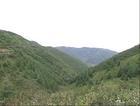 固原燈盞山天氣