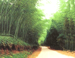 固原五峰山天氣