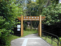 香港仔郊野公園天氣