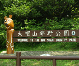 大埔大帽山郊野公園天氣
