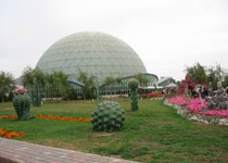 大武口森林公園天氣