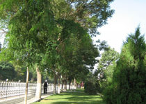 吳忠秦渠公園天氣
