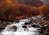 互助北山國家森林公園天氣